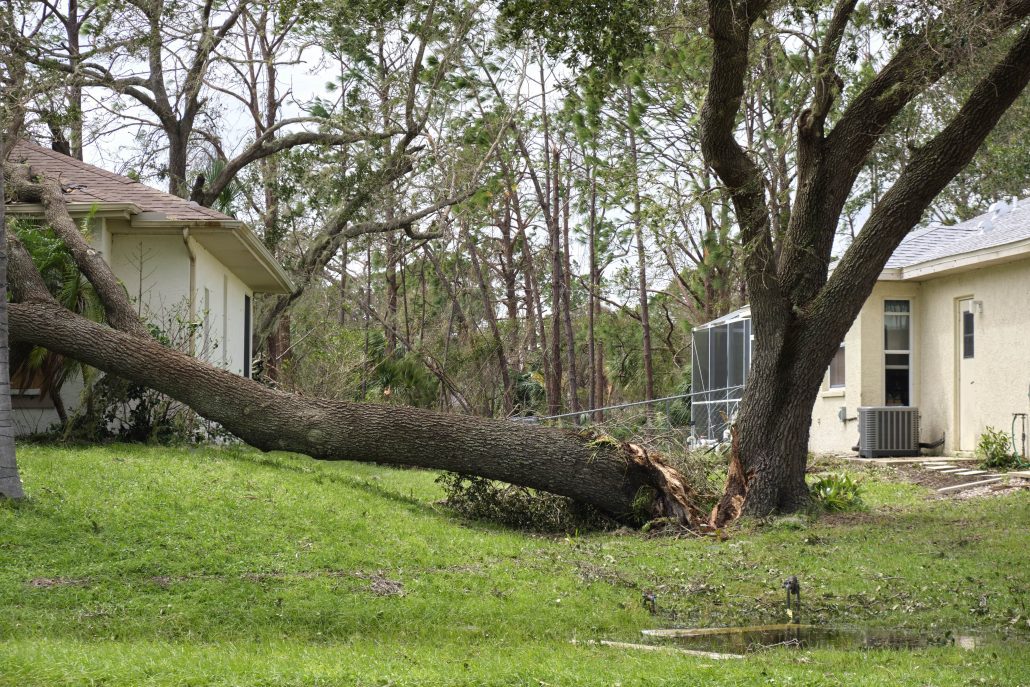 A large tree fallen on a house in Georgia