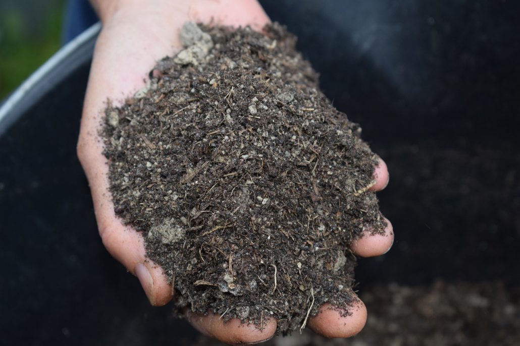 Hand holding a pile of rich, dark hardwood mulch close-up.